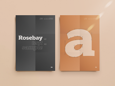 Rosebay Slab 1970s 70s contemporary