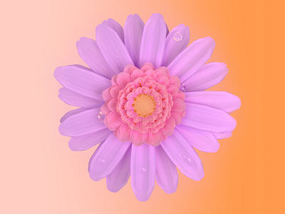 Daisy flower study 3d c4d cinema4d corona render
