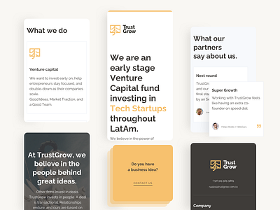 Trust Grow branding corporate ui ux