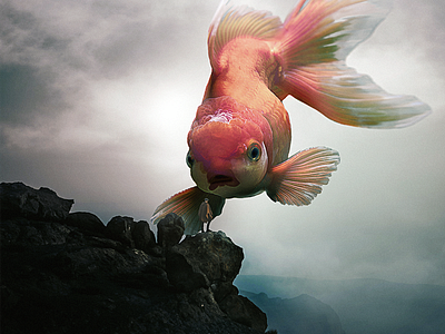 Big Fish climb composite fish floating food giant goldfish mountain ominous photomanipulation photoshop photoshop art surreal surrealism