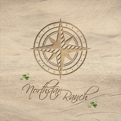 Northstar Ranch Mockup branding design icon logo vector