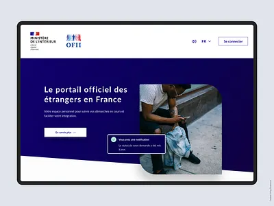 Immigration Portal design typography ui web website