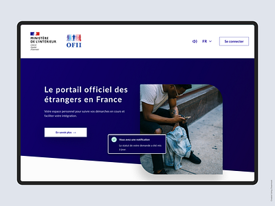 Immigration Portal design typography ui web website