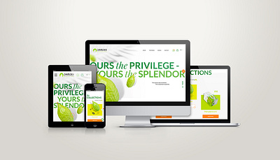 Damder, an Etrogim distributor art direction branding design illustration logo shopify typography ui uiux web design web designer web development webdesign