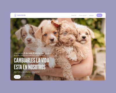 Web design - Patitas en Acción ui