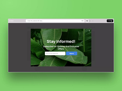 Exit Intent Popup – Newsletter Signup Template website popup