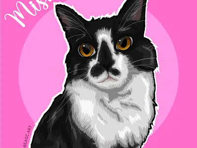 Digital Ilustration art cartoon cat cats dog illustration illustrator pet pets vector