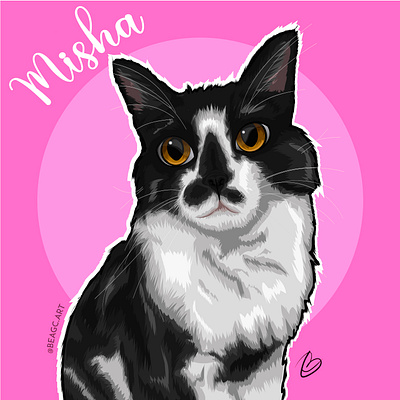 Digital Ilustration art cartoon cat cats dog illustration illustrator pet pets vector