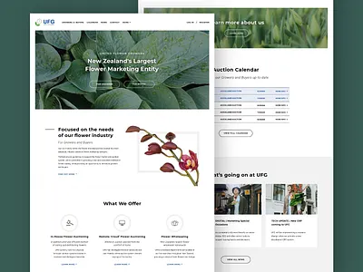 United Flower Growers (UFG) Website auction clean corporate flower flowershop green quality river river digital simple simple clean interface ui ux webdesigns website