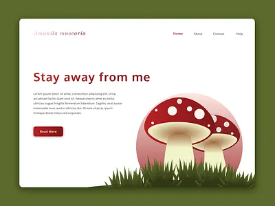 Amanita (muscaria) Landing Page amanita amanita muscaria figma forest fungi haunted landing page illustration mario bross mushroom mushroom illustration mushroom landing page mushrooms nature nature landing page red fungi red mushroom toxic web design illustration