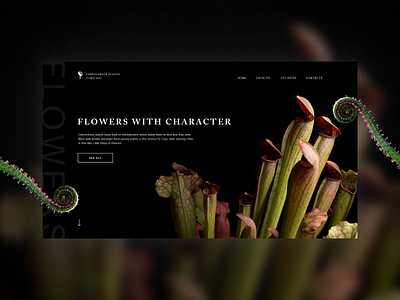 Carnivorous plant web site design carnivorous plant design flytrap ui ux venus web design webdesign website website design