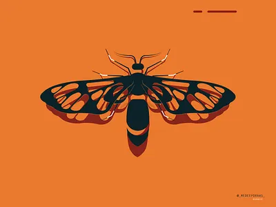 CREATURE art artwork fly geometric happy insect life light minimal minimal illustration modern morning nature nature illustration organic spring vector vector art