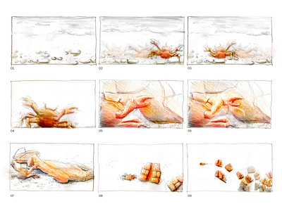 The little crab animation 2d concept crab drawing illustration little crab storyboard