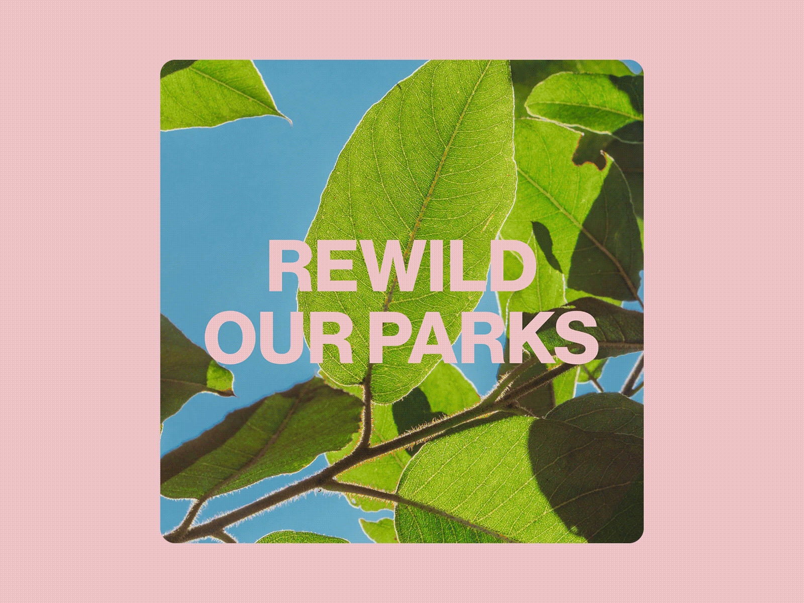 Earth Day 2021 agency content earth earth day earthy ecology marketing nature oceans park parks photography post rewild seas social media