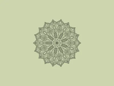 Mandala amaziograph design illustration mandala vector