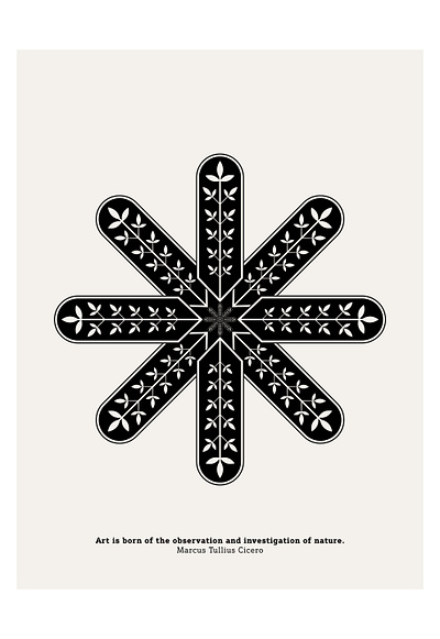 Marcus Tullius Cicero | Art is born geometry illustration illustrator nature nature art nature illustration science stem
