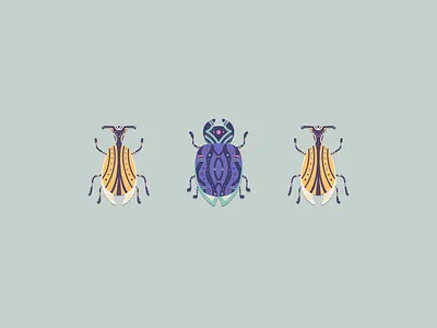 Bugs adobe design illustration procreate procreateapp vector