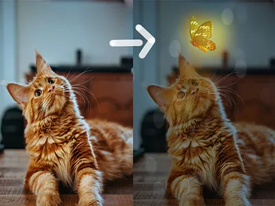 photo manipulation cat manipulation photo editing photoshop