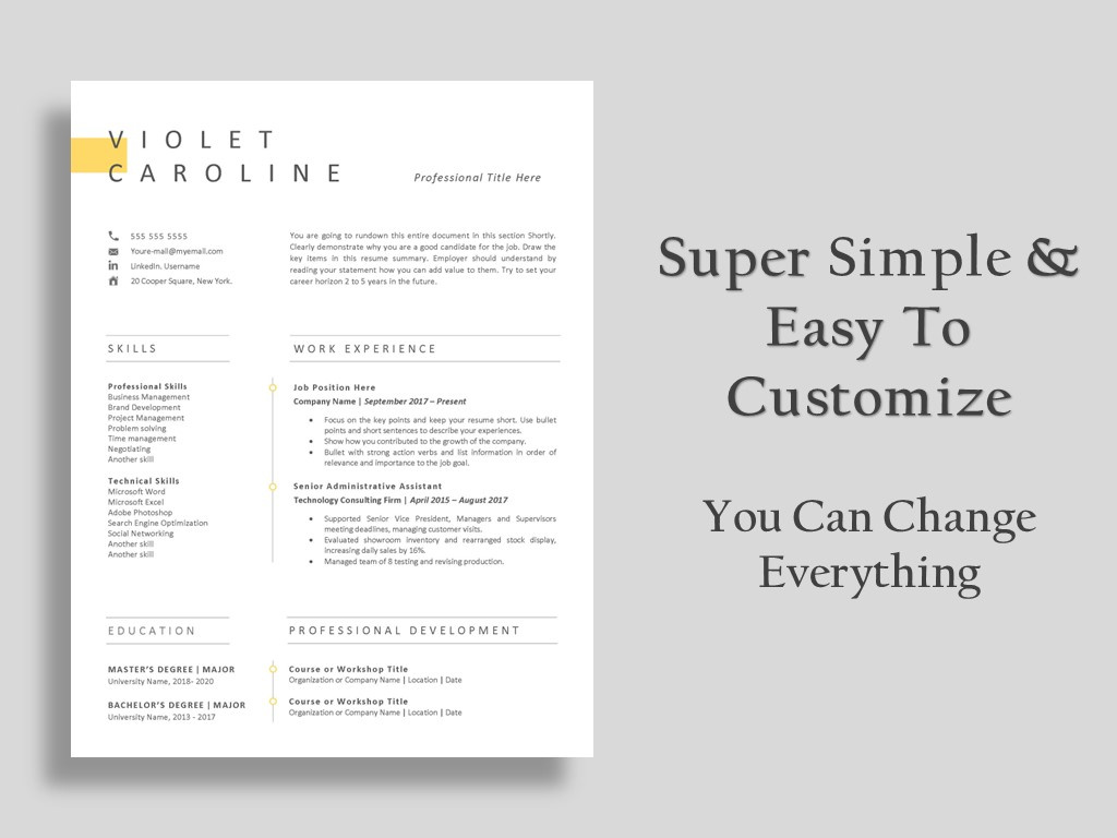 Professional Resume Template two page resume template