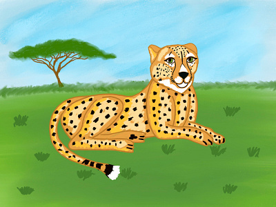 cheetah illustration africa animal animal illustration animals cat cheetah conservation digital illustration digital illustrator enviroment environmental environmental illustration illustrations safari wildlife wildlife conservation wildlife illustration