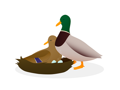 Duck affinity designer bird contest design duck egg illustration mallard nature nest vector vexza yay