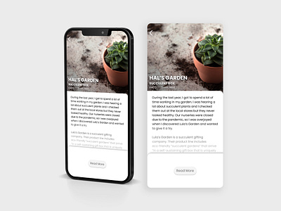 Blog Post UI - Succulents 035 blog blogpost dailyui dailyui 0035 dailyuichallenge design designer dribbble plants succulent succulents ui ui design uiux userinterface ux