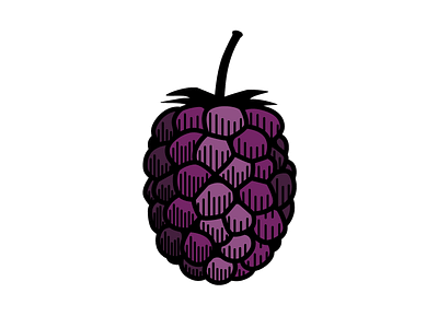 Blackberry detail berry blackberry branding design fruit illustration logo purple scratchboard
