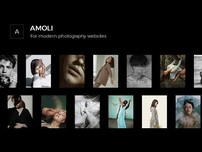 Amoli - Fashion Photography Theme design layout responsive template theme wordpress