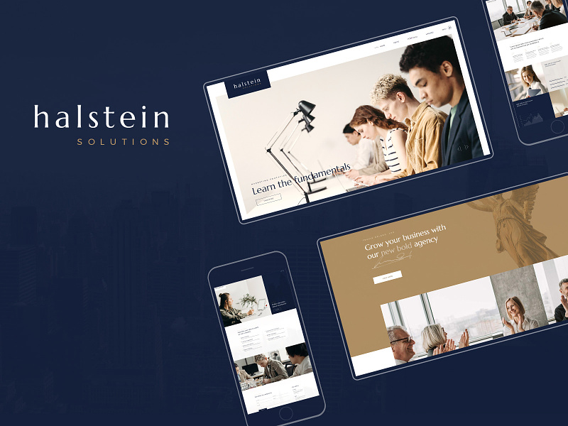 Halstein - Business Consulting layout responsive template theme wordpress