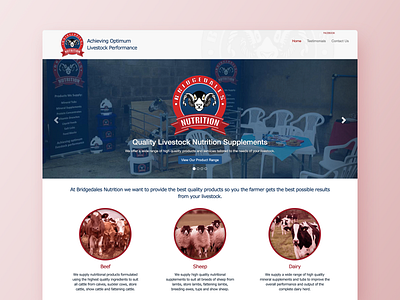 Bridgedales Nutrition - Website Homepage beef clean clean design conversion cow dated design desktop home home page homepage livestock minimal sheep web webdesign website website design websites wordpress