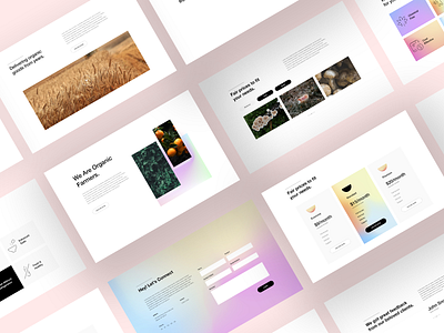 Elementor Section Blocks #3 blocks dribbble best shot elementor hero banner mohit panchal trending design ui design uiux user interface user interface design ux ui web web design website websites webui wordpress