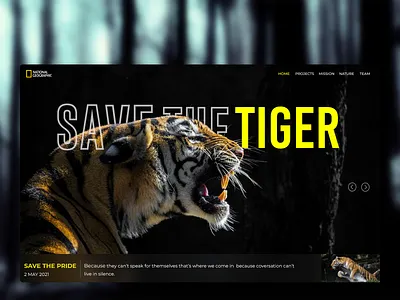 Save The Tiger Website Design adobe photoshop animal creative dailyui design designer dribbble dribble shot dribbleartist graphic design national geographic save earth ui uidesign ux web web design wildlife yellow