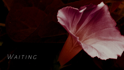Img18 image editing images uidesign