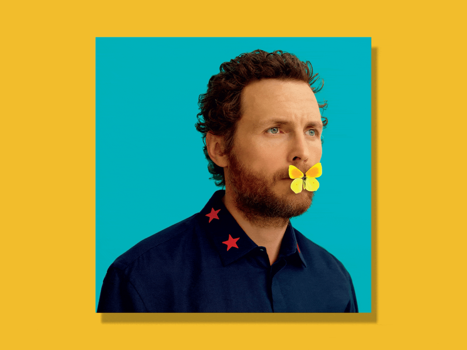 "Lorenzo Jovanotti Cherubini–Backup 1987-2012" CD - Motion Cover after effects butterfly cd cover jovanotti loop motion animation music stars