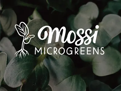 Mossi Microgreens Logo hand lettered logo hand lettering lettering logo logo design