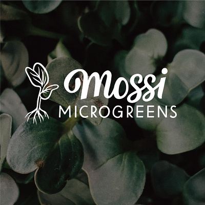 Mossi Microgreens Logo hand lettered logo hand lettering lettering logo logo design