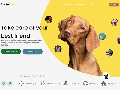 my pet shop page ui design design ui webdesign
