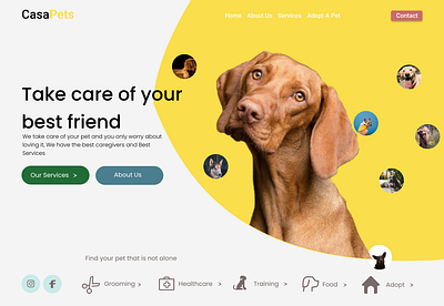 my pet shop page ui design design ui webdesign