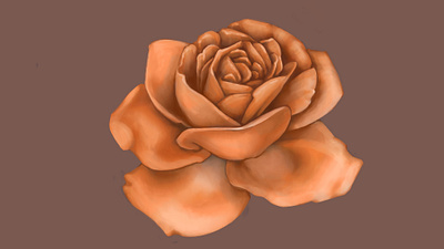 Orange Cream Flower Study 2 art deco bloom blossom design floral garden graphic design illustration plant retro romantic rose summer