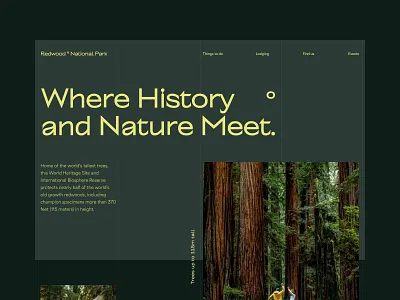 Redwood block editorial forest green grid layout minimal minimalist modern mood national park natural nature typogaphy ui design uxui web design website design whitespace