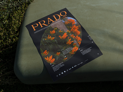 Prado Exposition art artistic branding clean exposition flowers layout museum photography poster prado ui ux website