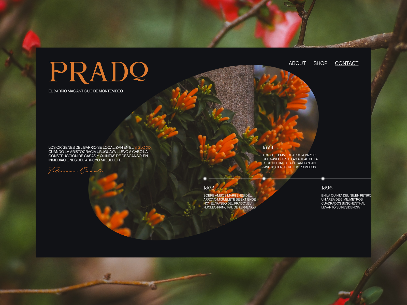 Example of Website Design