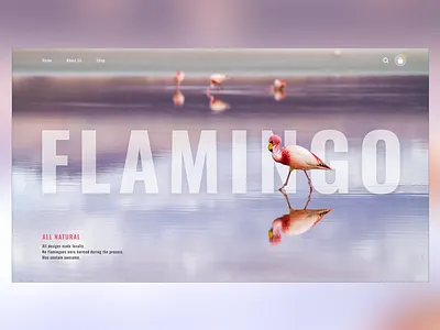 Flamingo Website adobexd flamingo homepageui minimal ui website websiteui