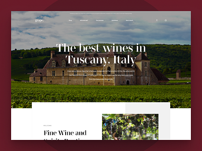 Wine Company Ecommerce Store Concept clean colors concept design ecommerce elegant figma pwa shop shopify shopify theme store ui web website wine winery