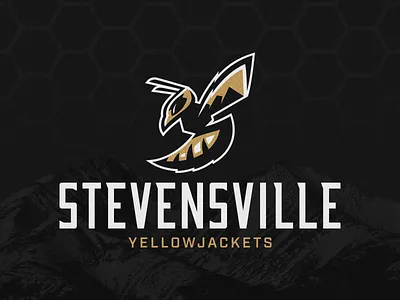 Stevensville Yellowjackets Brand ID (1/3) athletic branding badge logo brand identity branding icon icon design icon logo illustration logo logomark montana mountains school branding sports branding sports logo vector wasp wordmark yellow jacket yellowjacket