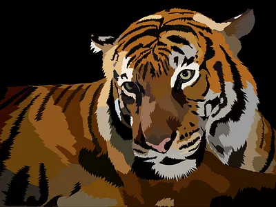 tiger adobe illustrator animal illustration portfolio poster tiger vector vectorart