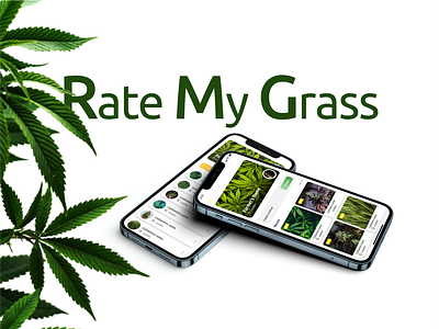 Rate My Grass Mobile Application app branding design graphic design illustration logo typography ui ux vector