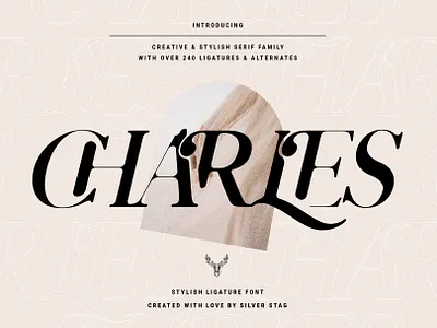 Charles - Ligature Serif Font Family creative creative market design elegant font font design font designer font face font family ligatures products sale serif