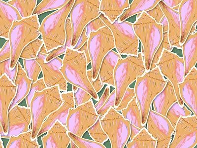 Sea Shell Stickers animal beach cute drawing fauna food graphics icon icons illustration illustrator marine mustard ocean procreate sea seashell sticker summer texture