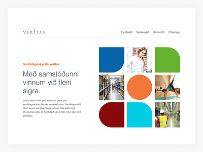 Veritas clean front landing page minimal report